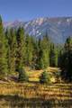 208 Outlook Trail - Photo 5