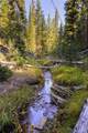 208 Outlook Trail - Photo 6