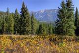 208 Outlook Trail - Photo 7