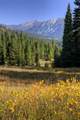 208 Outlook Trail - Photo 9