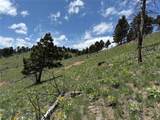 TBD (40.1 +/- Ac) High Ore Road - Photo 10