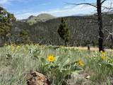 TBD (40.1 +/- Ac) High Ore Road - Photo 17