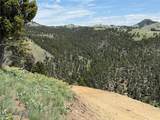 TBD (40.1 +/- Ac) High Ore Road - Photo 20