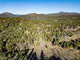 TBD (40.1 +/- Ac) High Ore Road - Photo 29