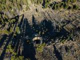 TBD (40.1 +/- Ac) High Ore Road - Photo 31