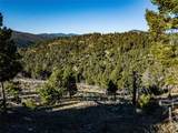 TBD (40.1 +/- Ac) High Ore Road - Photo 33