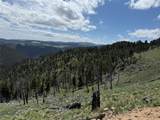TBD (40.1 +/- Ac) High Ore Road - Photo 8