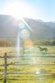Sun West Ranch Lot 34 - Photo 29