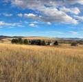 11480 O'keefe Creek Boulevard - Photo 10