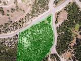 Lot 157 Seclusion Point - Photo 29