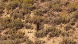 TBD 2900 Pioneer Mountains Scenic Byway - Photo 12