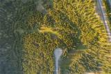 TBD Joy Road - Photo 13