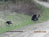 Lot 769 Miller Canyon Road - Photo 10