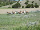 Lot 769 Miller Canyon Road - Photo 12