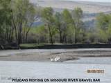 Lot 769 Miller Canyon Road - Photo 6