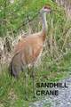 Lot 769 Miller Canyon Road - Photo 7
