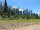 Nhn Silvantite Lane - Photo 1