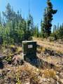 Nhn Calcite Lane - Photo 9