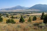 NHN Wilderness Lane - Photo 12