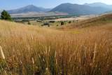 NHN Wilderness Lane - Photo 13