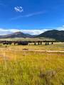 NHN Wilderness Lane - Photo 16