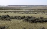 tbd Lindstrom Road - Photo 1