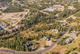 TBD White Otter Road, Lot 34 - Photo 35