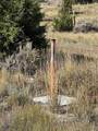 Lot 138 Shining Mountains Unit I - Photo 15
