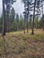 408 Montana View Drive - Photo 11