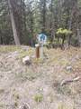 408 Montana View Drive - Photo 9
