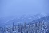 tbd Ulery's Lakes Road - Lot 13A - Photo 18