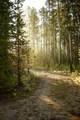 tbd Ulery's Lakes Road - Lot 13A - Photo 3