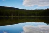 tbd Ulery's Lakes Road - Lot 13A - Photo 31