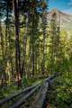 tbd Ulery's Lakes Road - Lot 13A - Photo 4