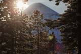 tbd Ulery's Lakes Road - Lot 13A - Photo 5