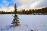 tbd Ulery's Lakes Road - Lot 13A - Photo 8
