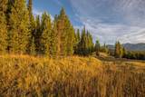 TBD Eagle View, Lot 76 Trail - Photo 8
