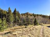 3528 Table Mountain Road - Photo 25