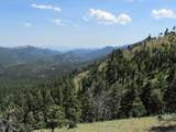 TBD Bear Track Road - Photo 14