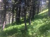 TBD Bear Track Road - Photo 18