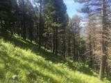 TBD Bear Track Road - Photo 19