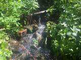 TBD Bear Track Road - Photo 2