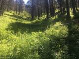 TBD Bear Track Road - Photo 20