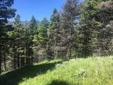 TBD Bear Track Road - Photo 21