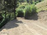 TBD Bear Track Road - Photo 4