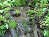 TBD Bear Track Road - Photo 5