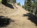 TBD Bear Track Road - Photo 6