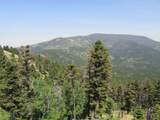 TBD Bear Track Road - Photo 7