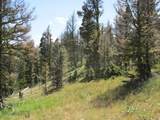 TBD Bear Track Road - Photo 9
