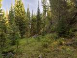 TBD Sweetroot Fork - Photo 10